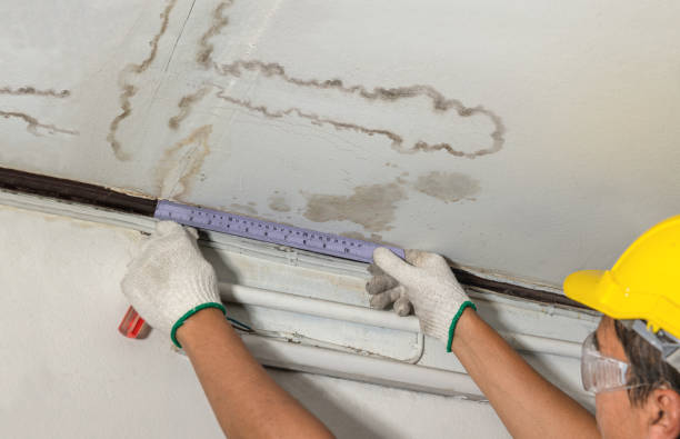 Reliable Burst Pipe Cleanup contractor in Lovell, WY by Water Damage Irwin